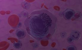 huNOG-EXL EA (Early Access): A Myeloid-Supportive HIS Model with a Longer Potential Study Window