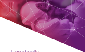 Genetically Engineered Models for Advanced Syngeneic Tumor Modeling