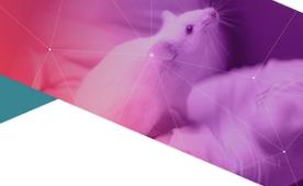 An Introduction to Humanized Immune System Mouse Models