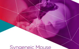 Syngeneic Mouse Models for Preclinical Immuno-Oncology Research